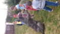 /album/fotogaleria-galeria/dsc-1507-jpg/